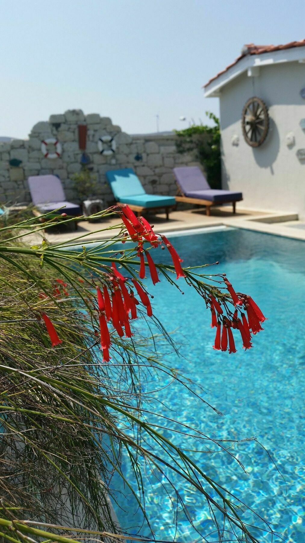 Cassiopeia Hotel Alaçatı Exterior foto